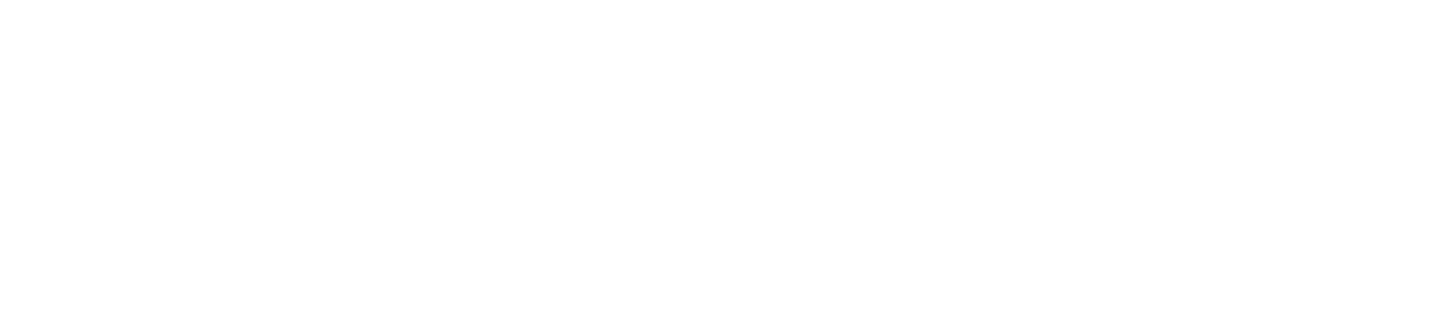 Schäfer Steinteppiche